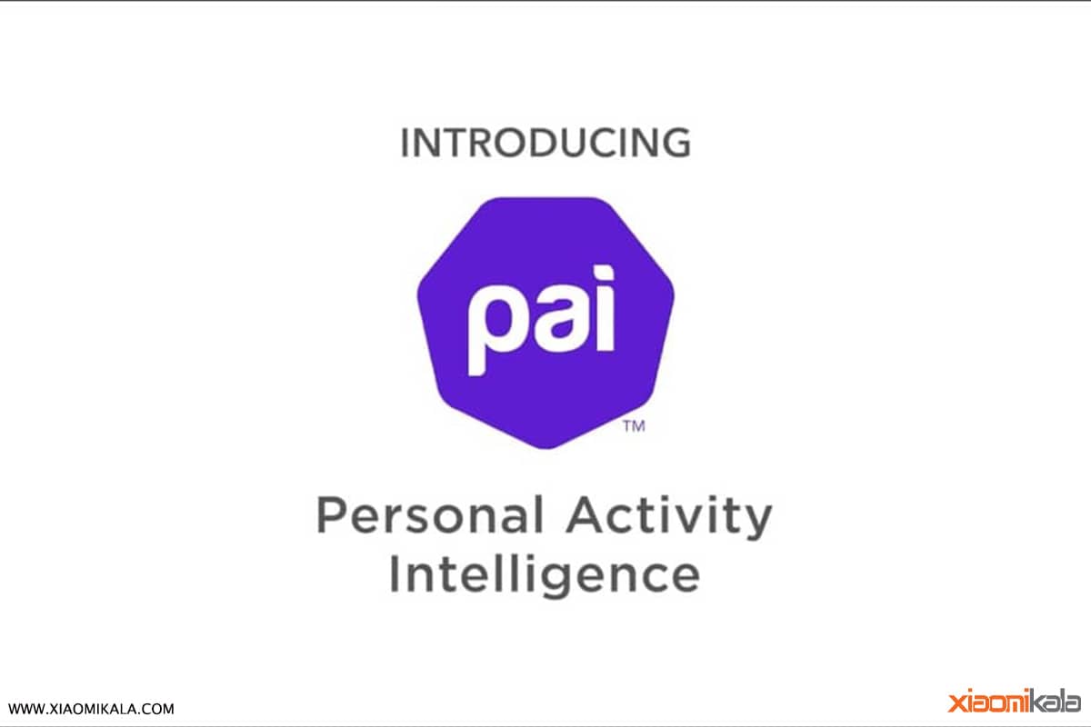 Personal activity. Personal activity Intelligence. Pai (personal activity Intelligence). Интеллект-Активити. Курс интеллект-Активити.